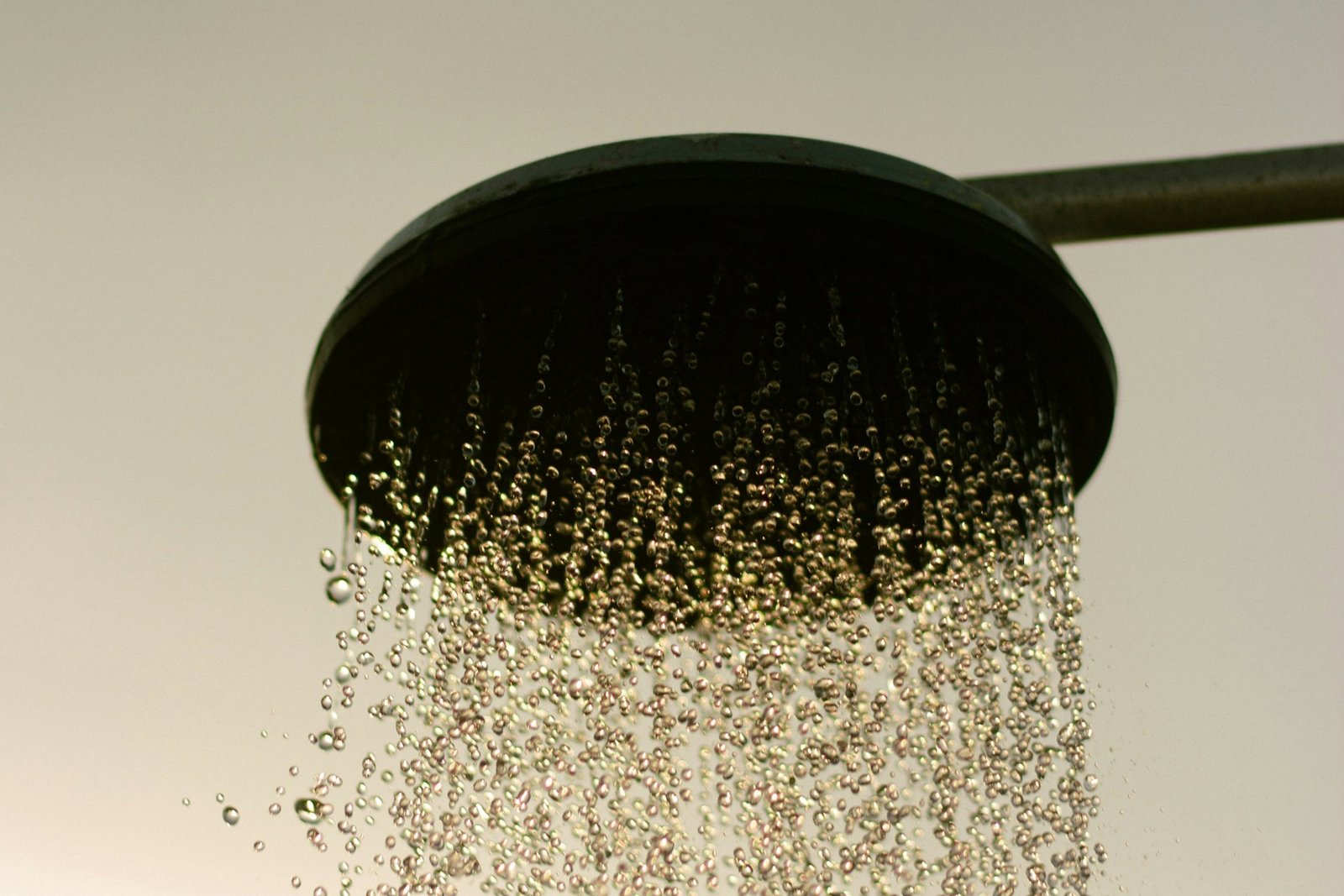 Duschkopf liegt in einer Schüssel mit Essiglösung